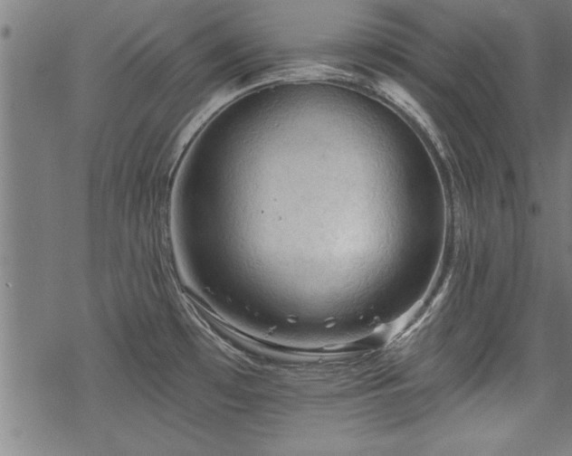 X0000069791481200605221102