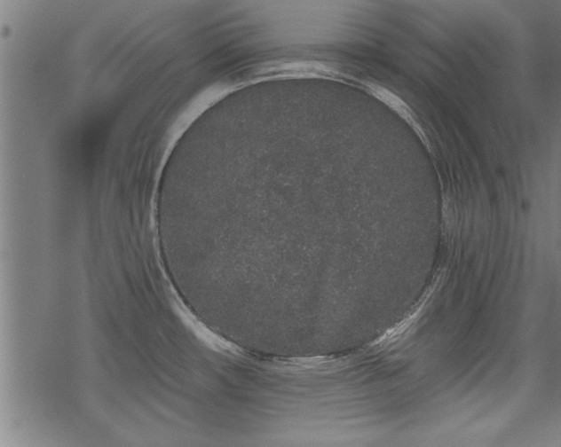 X0000069791482200605221102