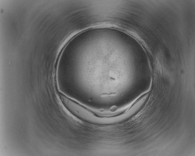 X0000069791484200605221102