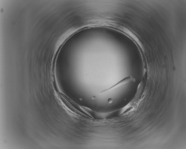 X0000069791485200605221102