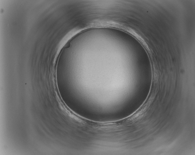 X0000069791486200605221102