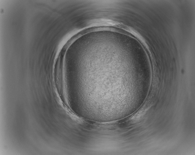 X0000069791488200605221102