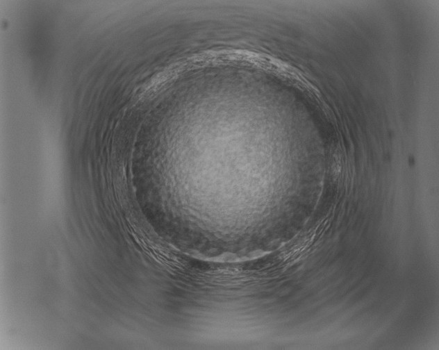 X0000069791489200605221101