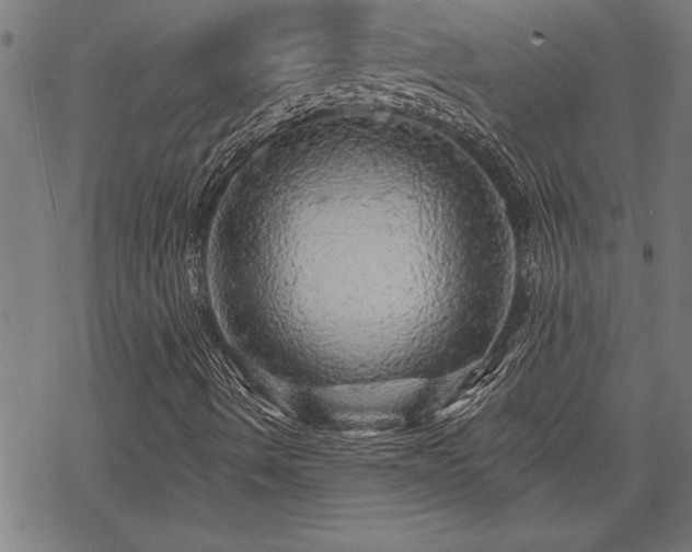 X0000069791490200605221101