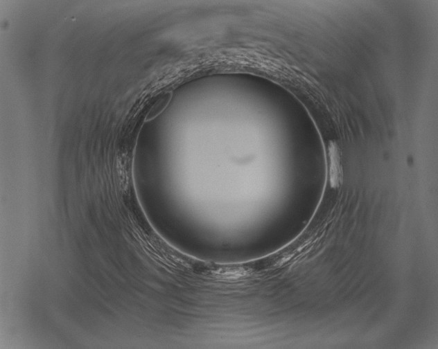 X0000069791491200605221101