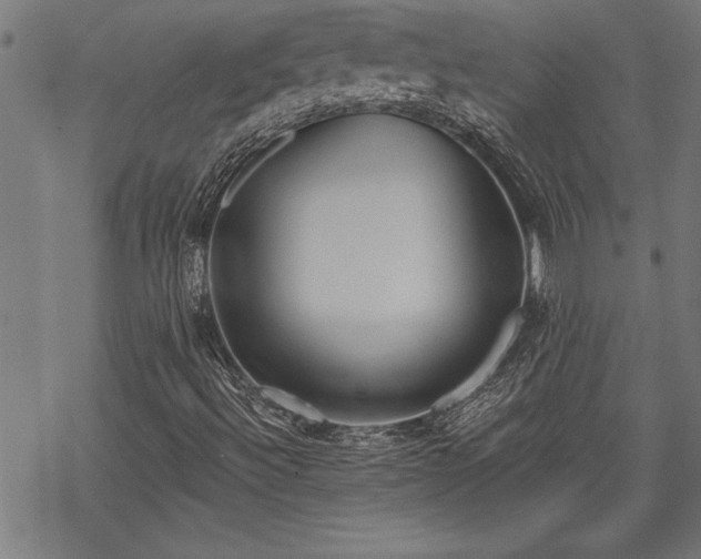 X0000069791492200605221101