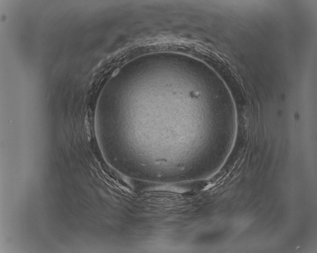 X0000069791493200605221101