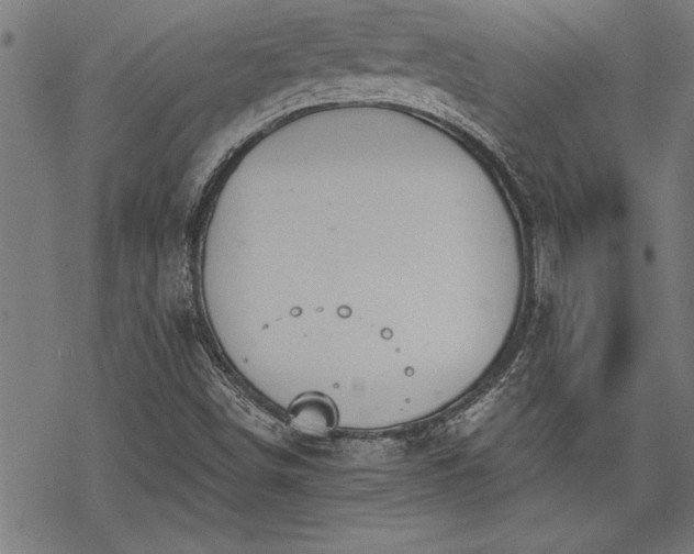 X0000069791498200605221101