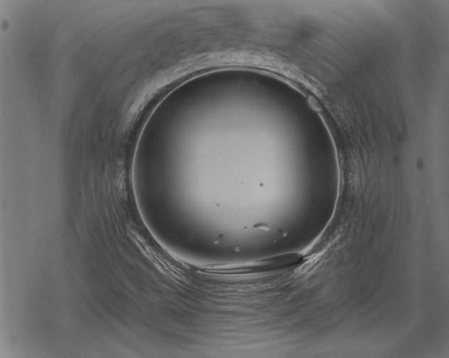 X0000069791499200605221101