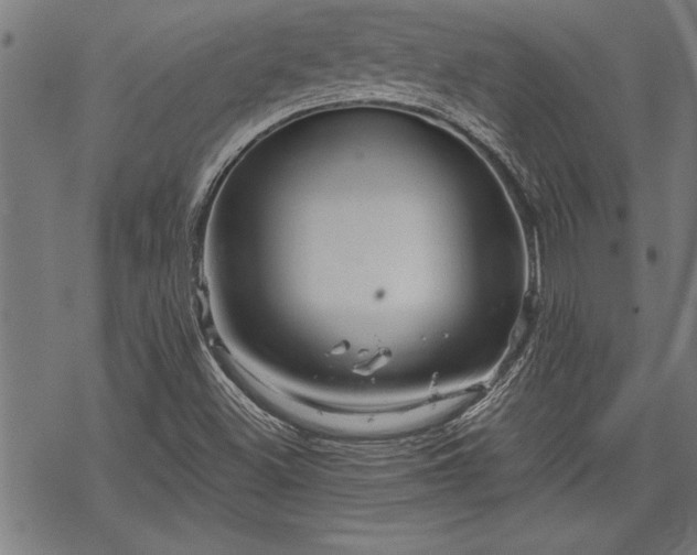 X0000069791500200605221101