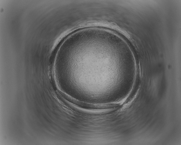 X0000069791501200605221101