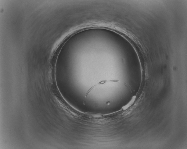 X0000069791502200605221101