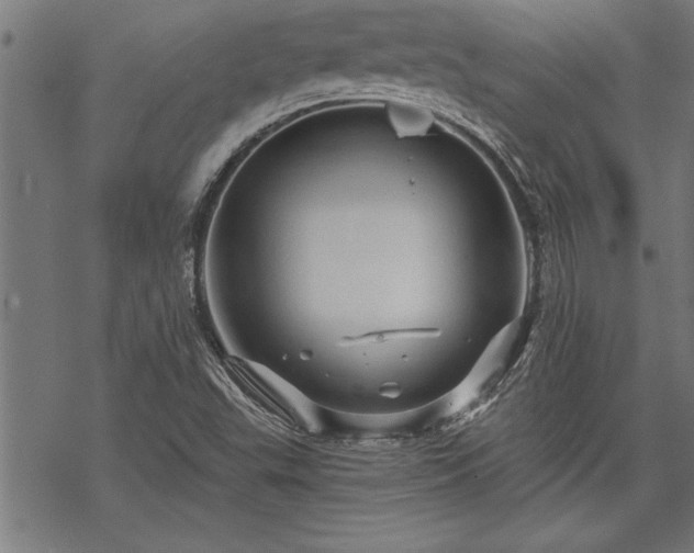 X0000069791503200605221101