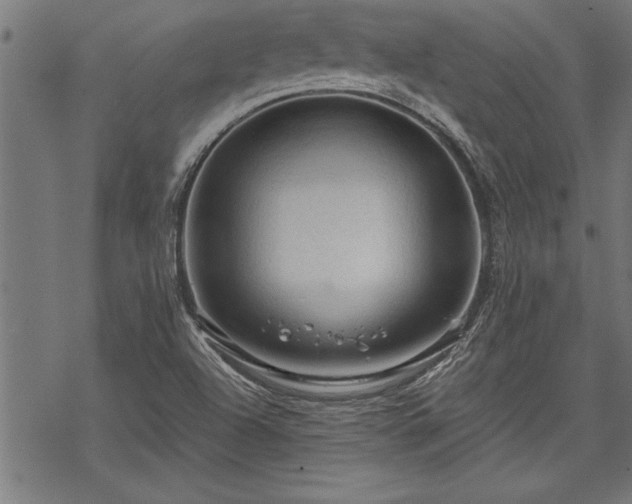 X0000069791504200605221101