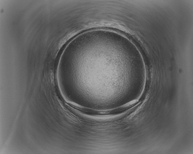 X0000069791505200605221101