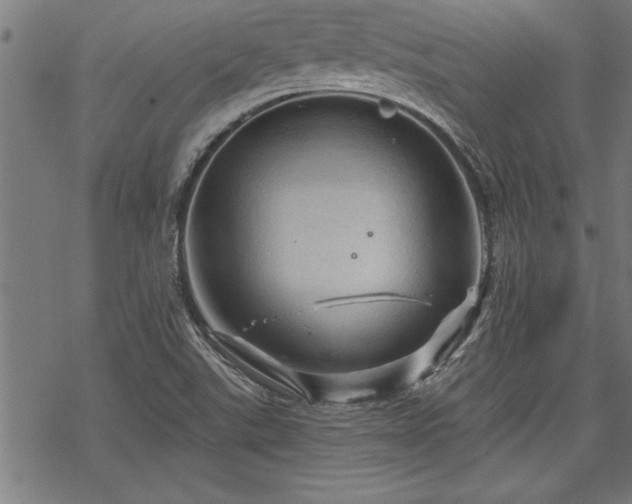 X0000069791507200605221101