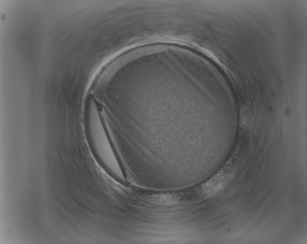 X0000069791508200605221101