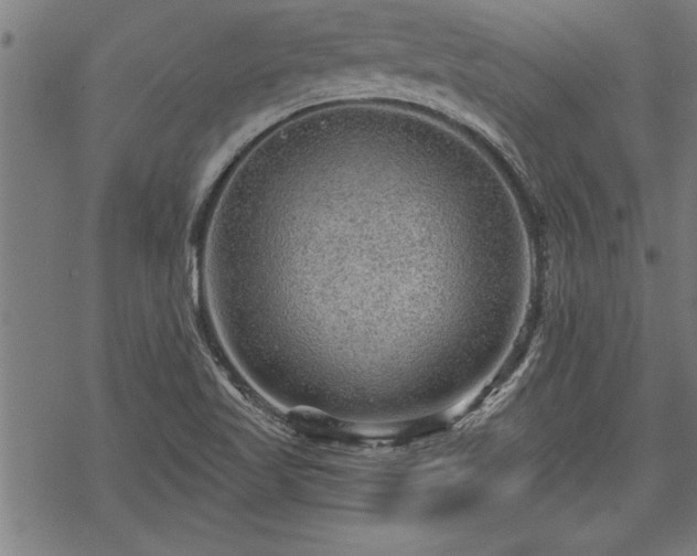 X0000069791509200605221101