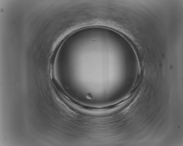 X0000069791510200605221101