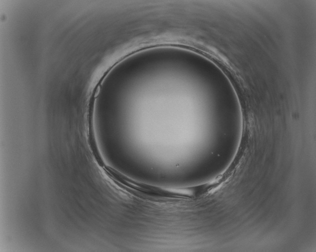 X0000069791512200605221102