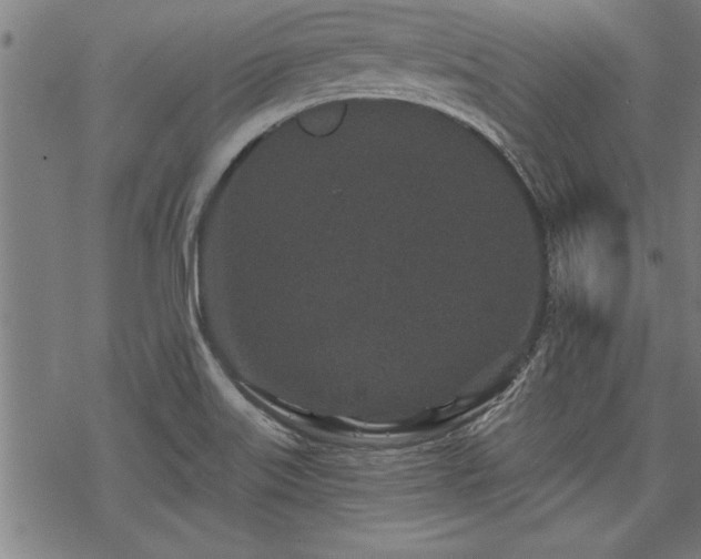 X0000069791515200605221102