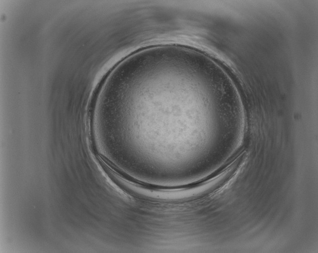 X0000069791517200605221102