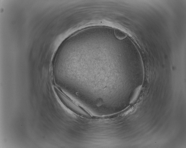 X0000069791519200605221102