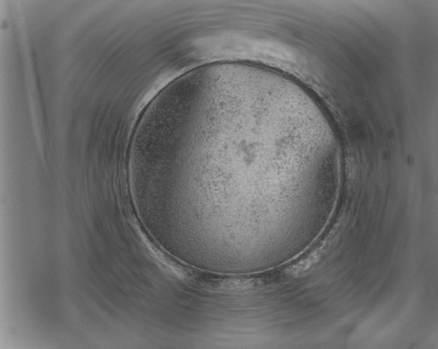 X0000069791521200605221102