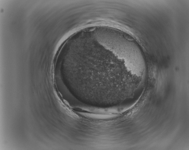 X0000069791522200605221102