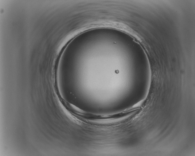 X0000069791523200605221102