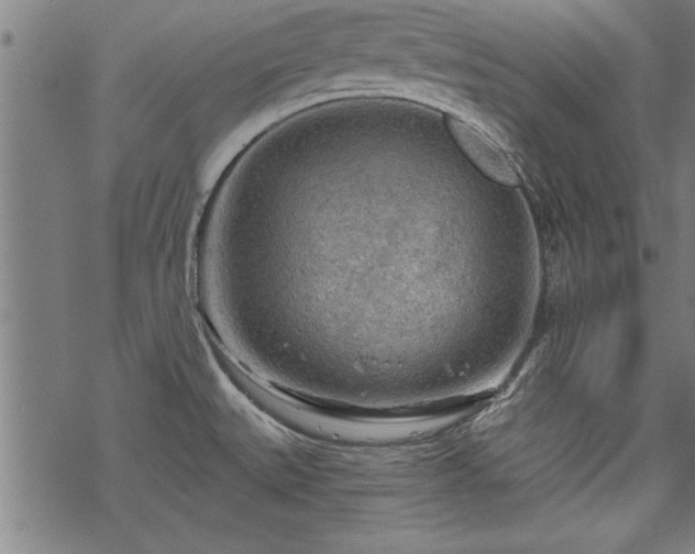 X0000069791527200605221102