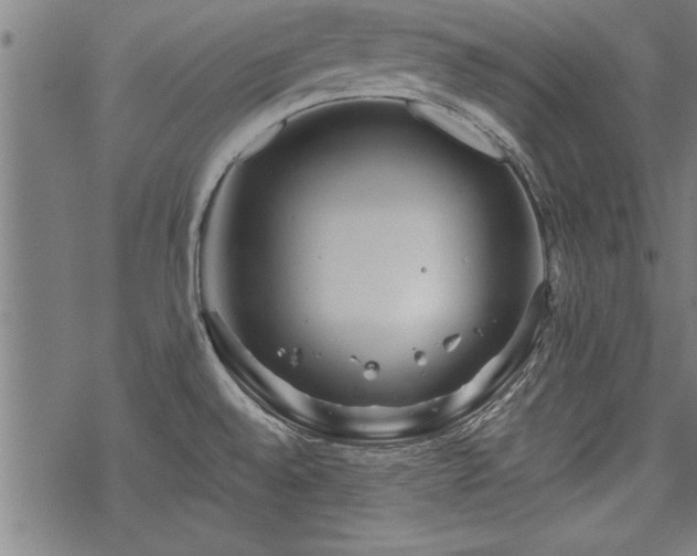 X0000069791528200605221102