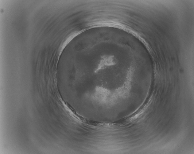 X0000069791529200605221102