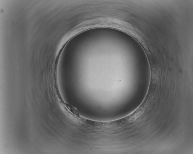 X0000069791530200605221102