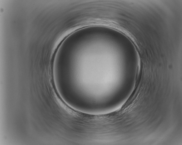 X0000069791531200605221102