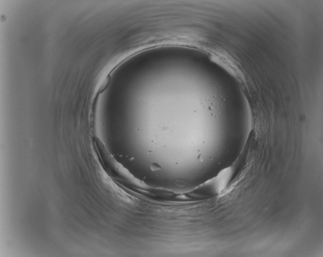 X0000069791532200605221102