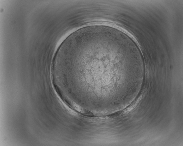 X0000069791533200605221102