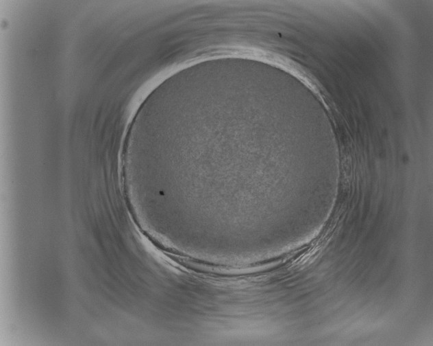 X0000069791535200605221102