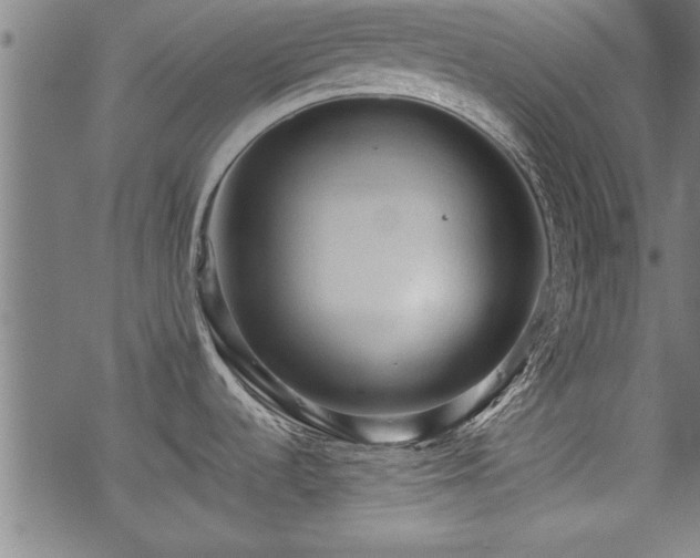 X0000069791536200605221102