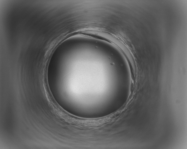 X0000069790001200605261709