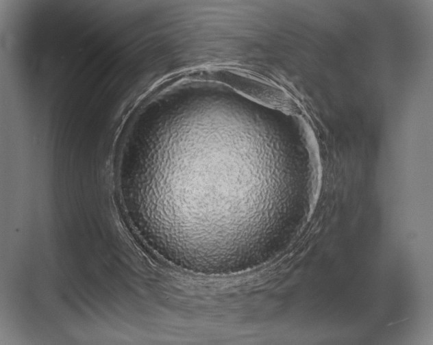 X0000069790002200605261709