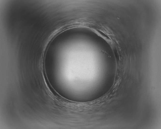 X0000069790003200605261709