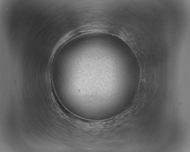 X0000069790004200605261709