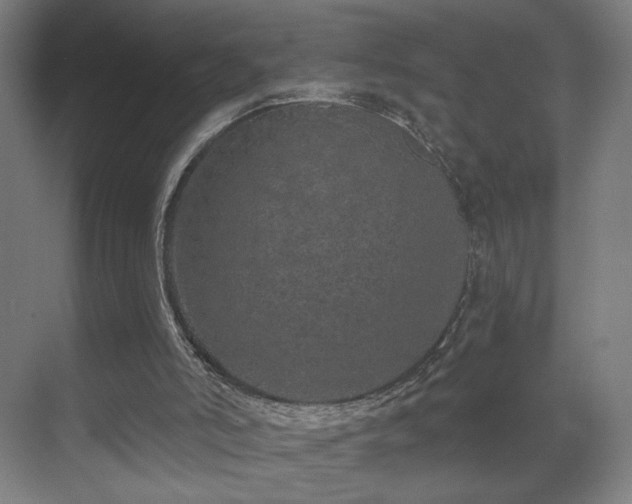 X0000069790006200605261709