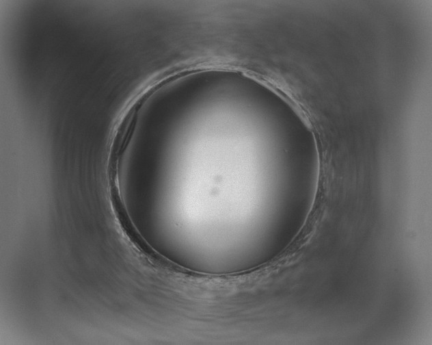 X0000069790007200605261709