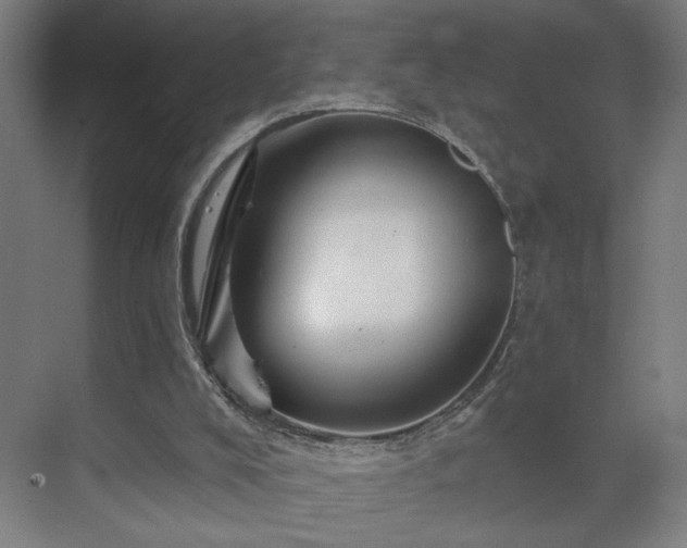 X0000069790008200605261709