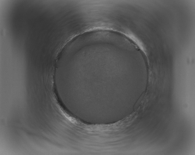 X0000069790009200605261709