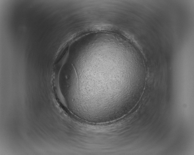 X0000069790010200605261708