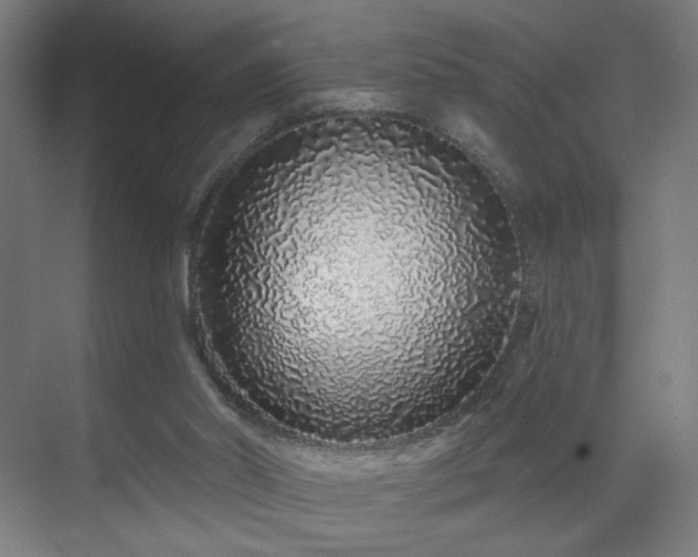 X0000069790014200605261708