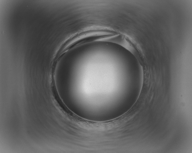 X0000069790015200605261708